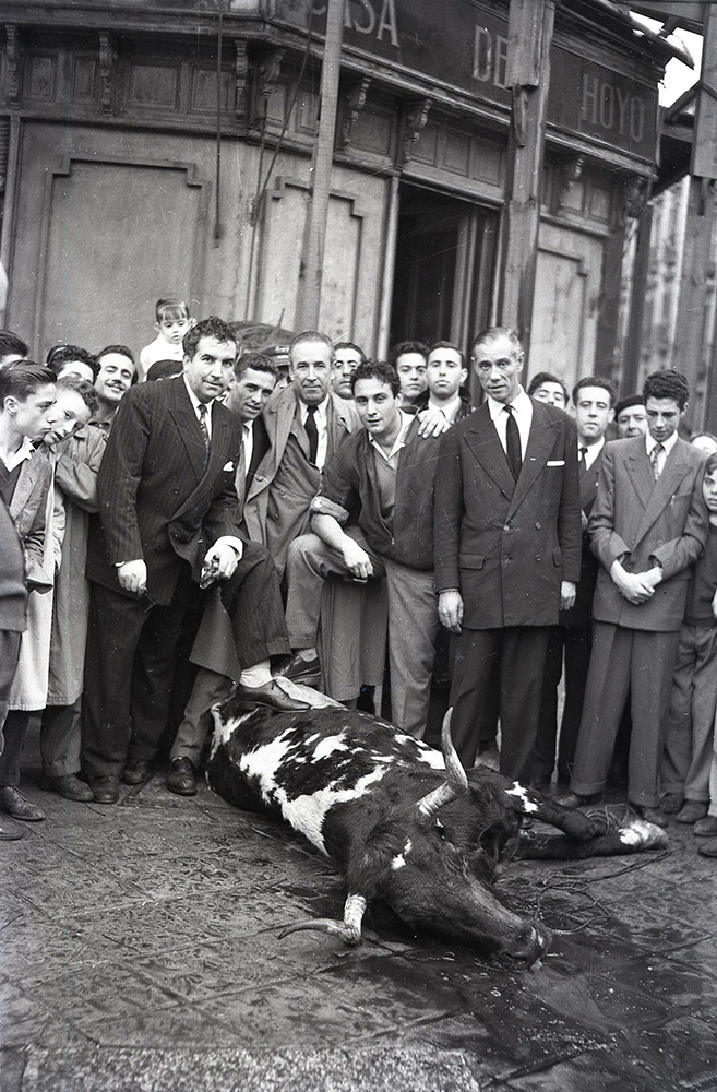 Vaca brava huída por las calles del barrio de Salamanca fotografiada por Campúa el 26 de octubre de 1954