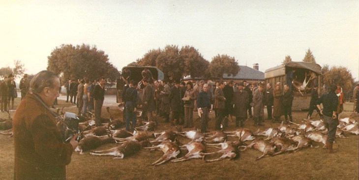 A la izquierda de estas fotografías panorámicas aparece José Demaría Vázquez "Campúa" con su cámara fotografiando la cacería en El Pardo. En las imágenes no consta fecha pero fueron tomadas posiblemente a finales de los años 60.