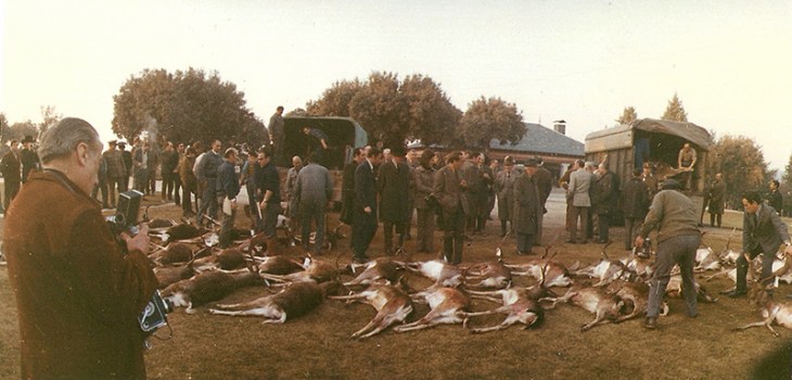 A la izquierda de estas fotografías panorámicas aparece José Demaría Vázquez "Campúa" con su cámara fotografiando la cacería en El Pardo. En las imágenes no consta fecha pero fueron tomadas posiblemente a finales de los años 60.